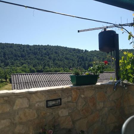 Milica App Skradinsko Polje 24 Hotel Kültér fotó
